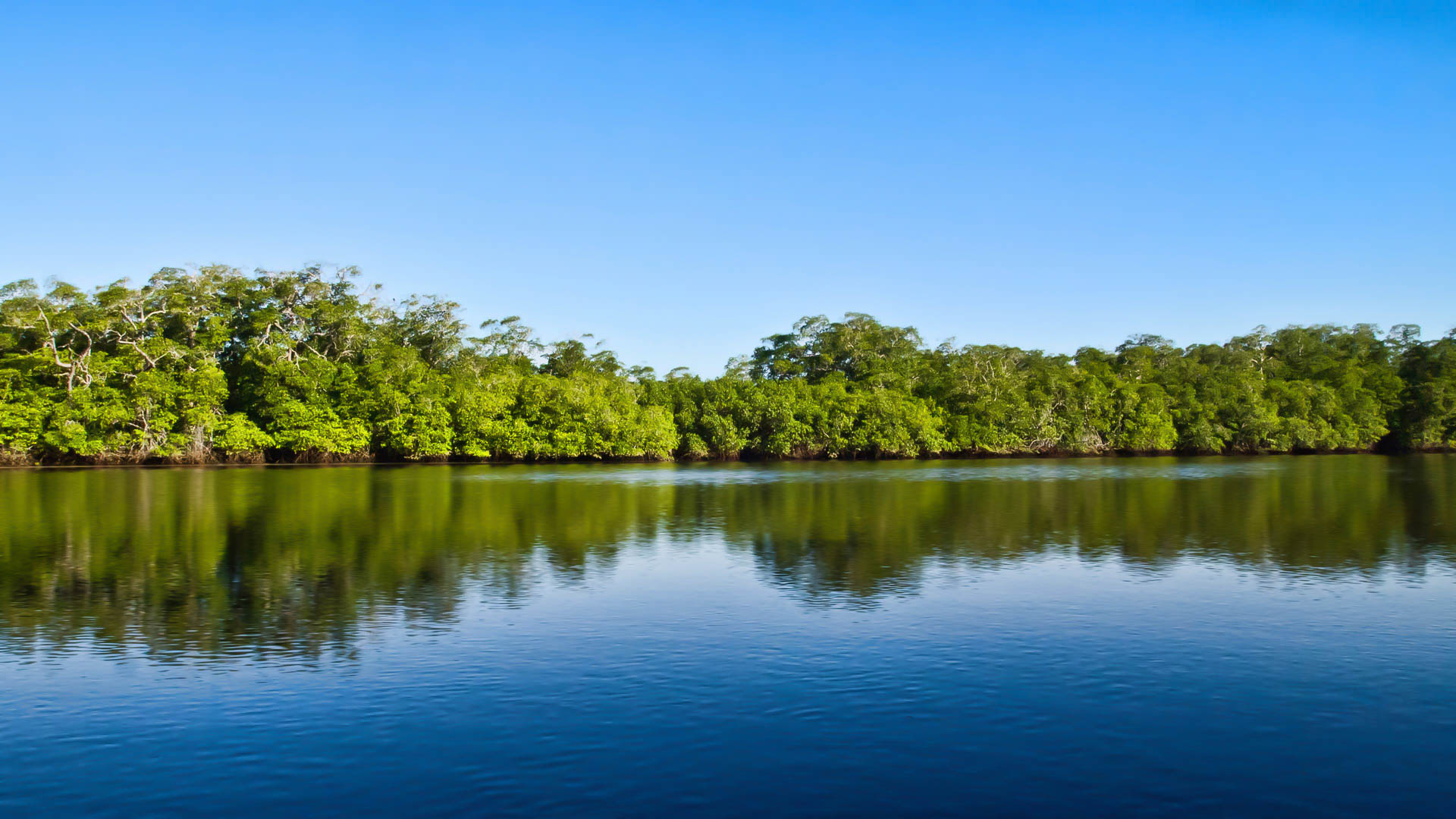 Osa Puntarenas Cantón
