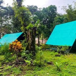 Corcovado Tent Camp