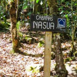 Cabañas Nasua