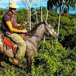 Pacheco Tours