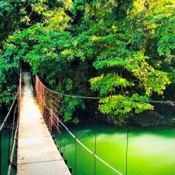 Pura Osa Expeditions