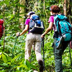 Wild Trails Adventures