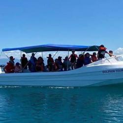Dolphin Tours
