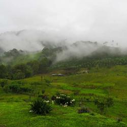 Finca La Bonanza