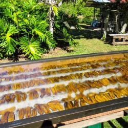 Finca Integral Agroecológica Los Gansos