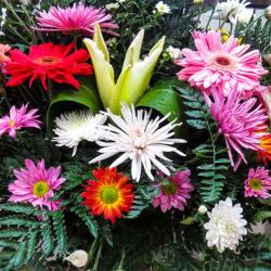 Floristería La Milagrosa