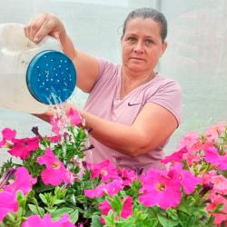 Flor Natural