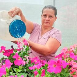 Finca Girasol