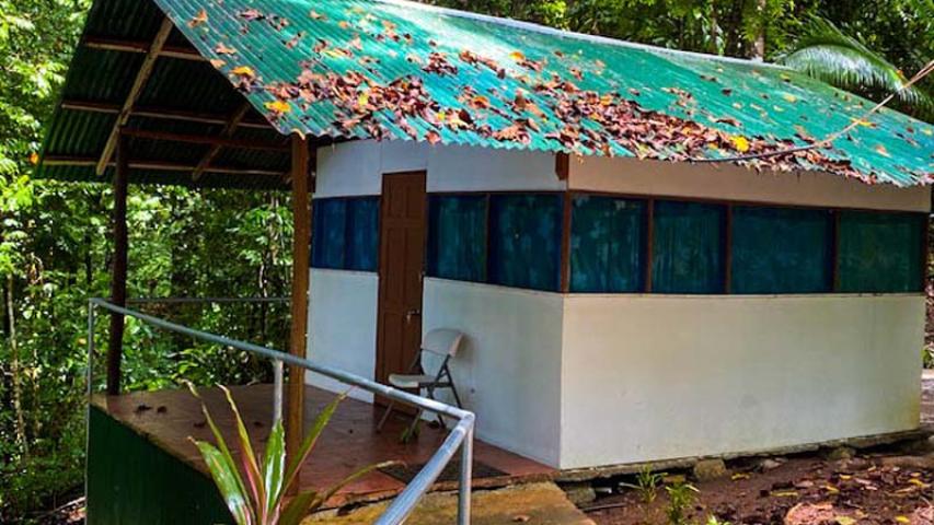 Corcovado Jungle Hostel