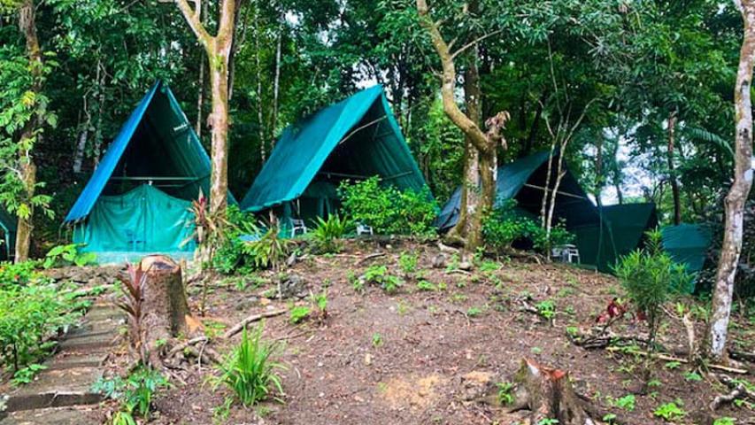 Corcovado Tent Camp