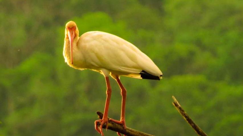 Laguna Chocuacos Lodge