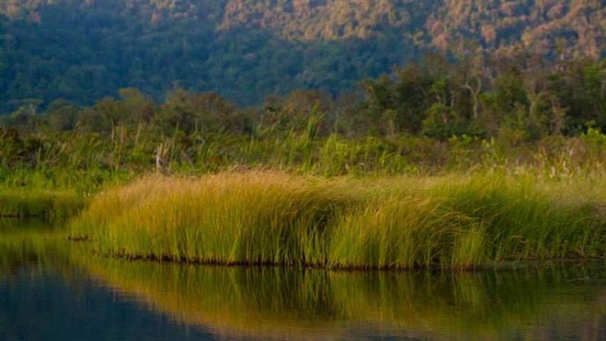 Laguna Chocuacos Lodge