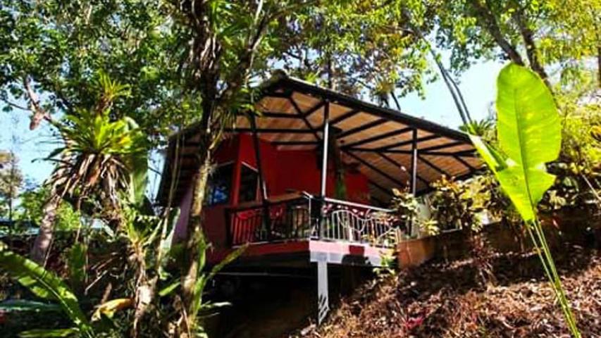 Hotel Oasis de las Palmas