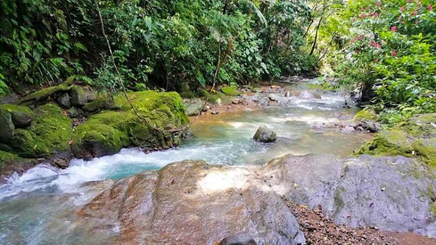 La Cascada de Ojochal