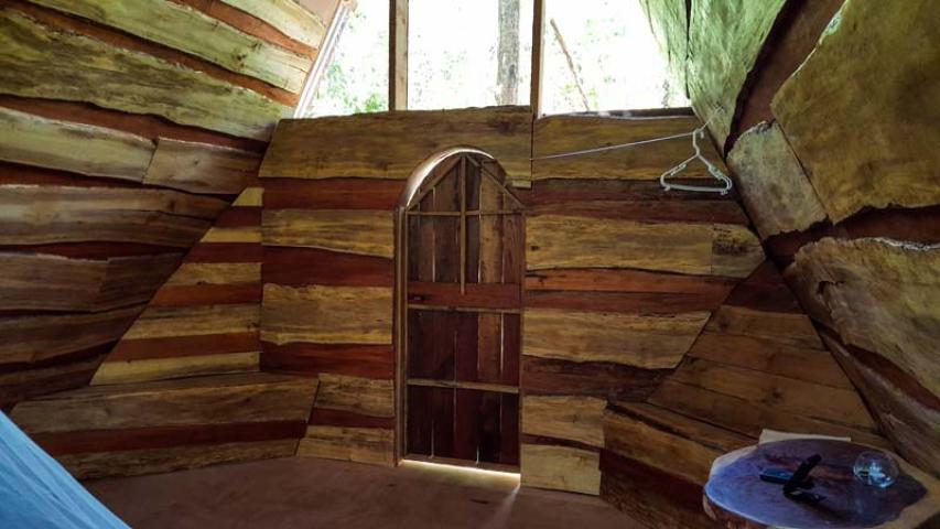 Calathea Drake Lodge