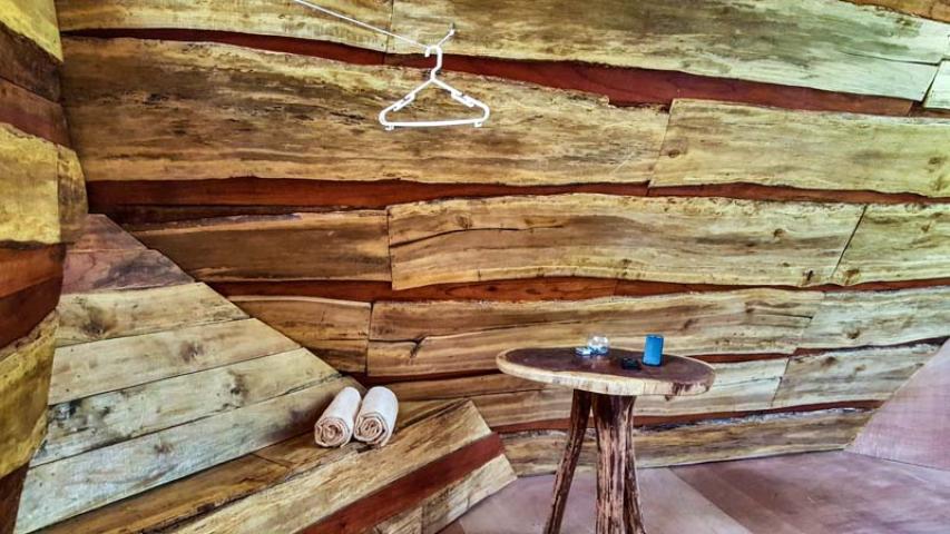 Calathea Drake Lodge