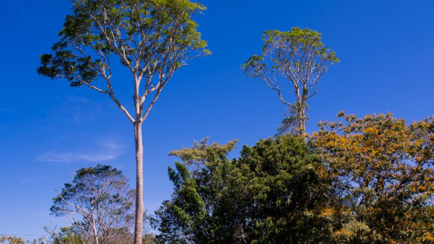 HOTEL FINCA PALO ALTO