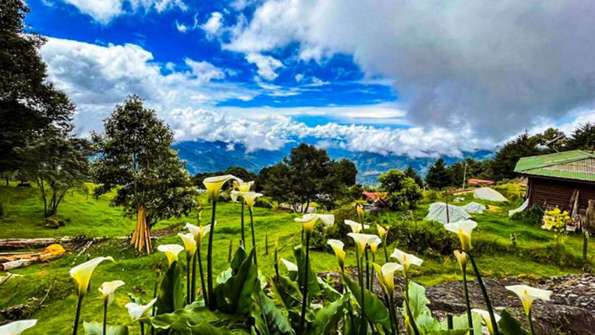 Cabaña Mirador Alto Jaular