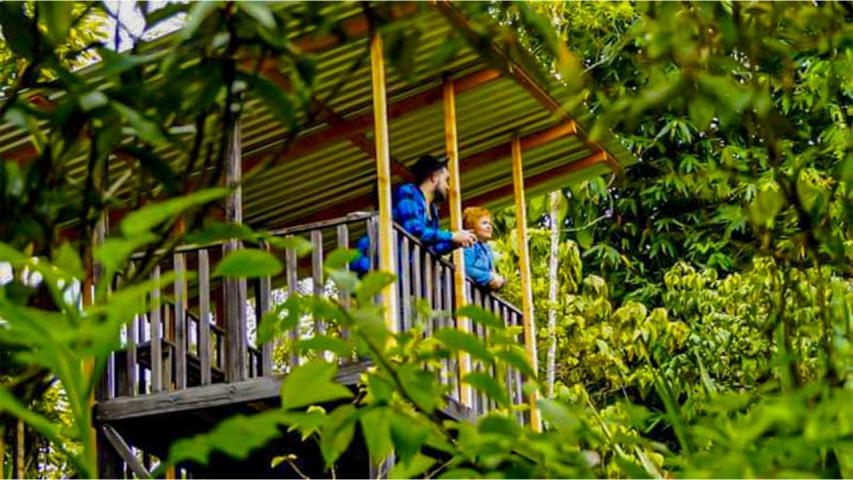 Cabañas Jardines Secretos