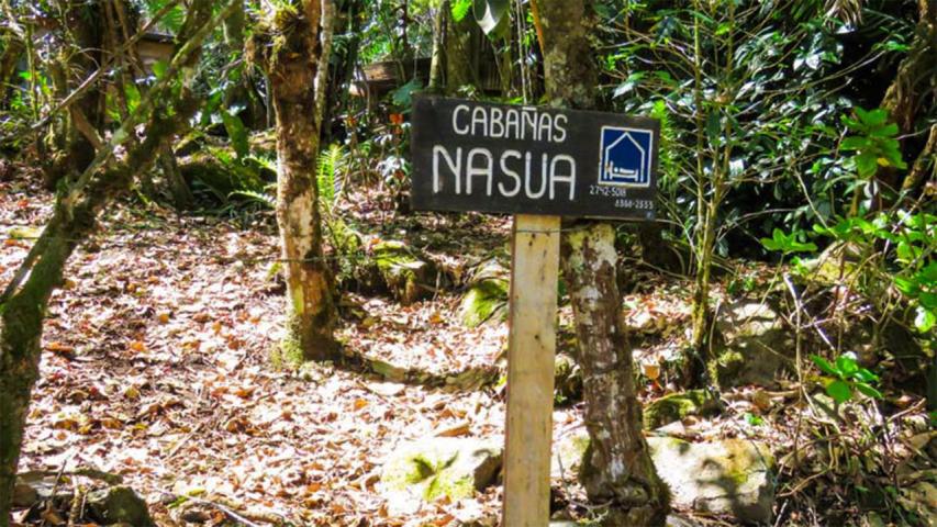Cabañas Nasua
