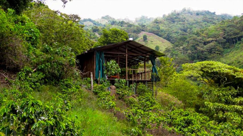 Chakra Retreat Center