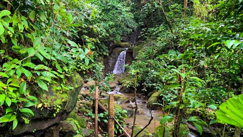 Cabinas Rancho Burica