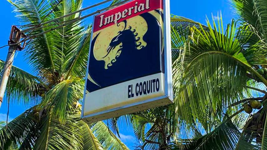 Playa Zancudo El Coquito