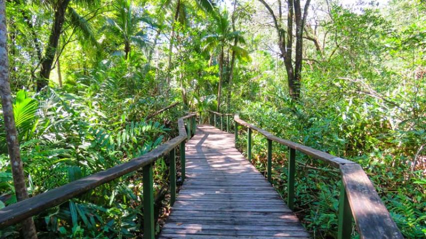 La Chosa del Manglar/Palapa Hut