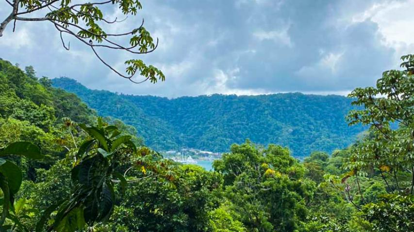 Ka Kau Jungle Cabins