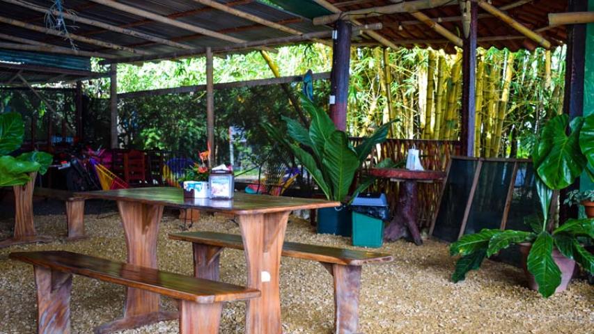 Restaurant Bar Los Delfines