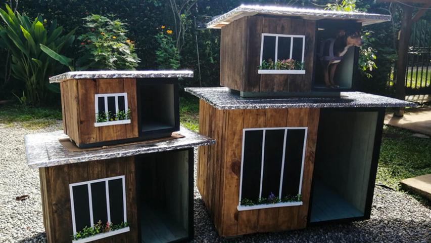 Cabañas para perritos