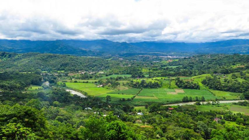 Únicos Mirador
