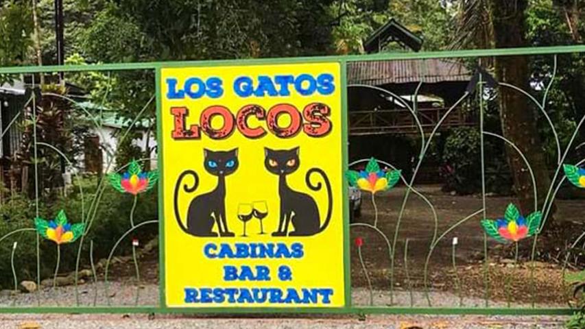 Los Gatos Locos