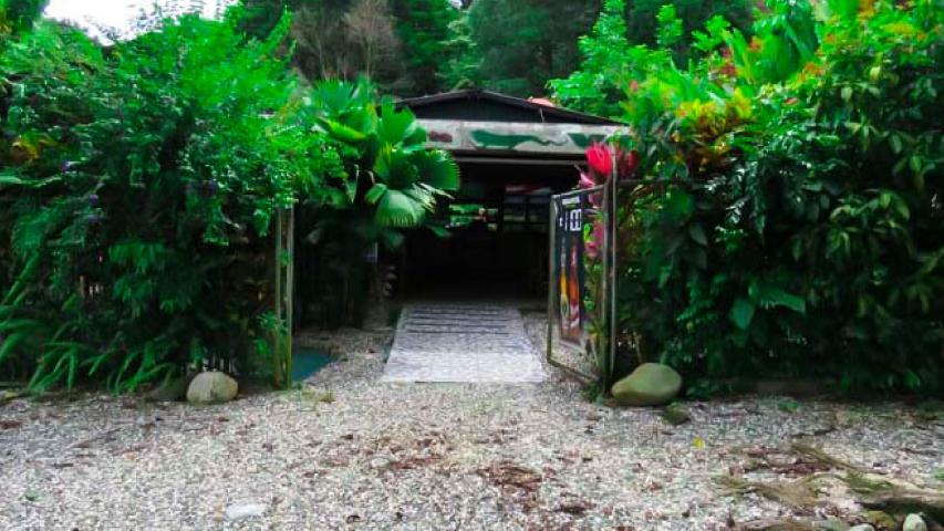 Bar Iguana Verde