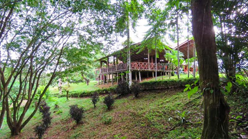 Restaurante Tilapias El Pavón