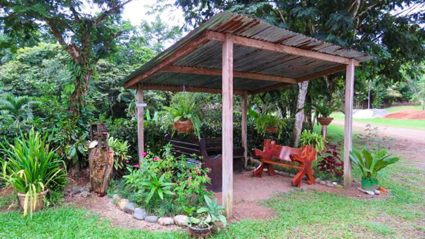 Restaurante Tilapias El Pavón