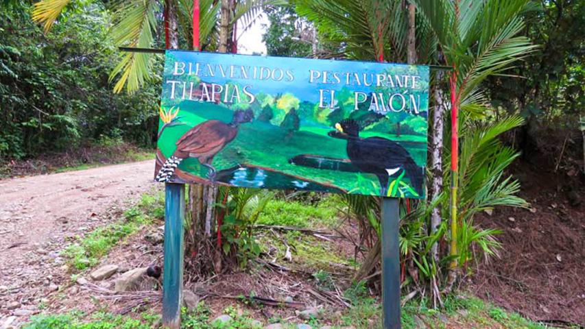 Restaurante Tilapias El Pavón