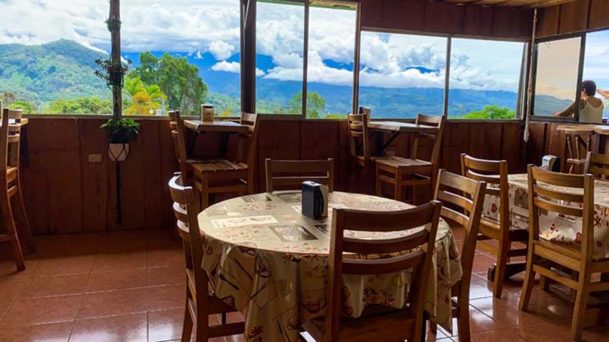 Cafetería Orgánica Granados