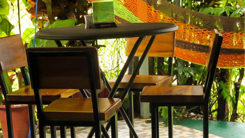 Bar Iguana Verde