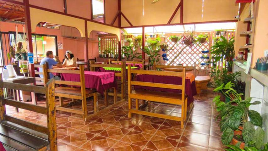 El Rincón de Domi