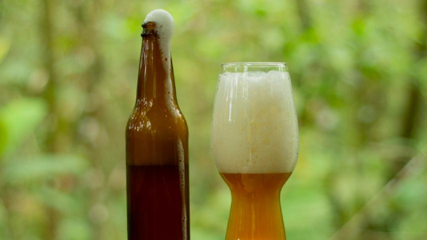 CERVECERÍA ARTESANAL BIOLLEY