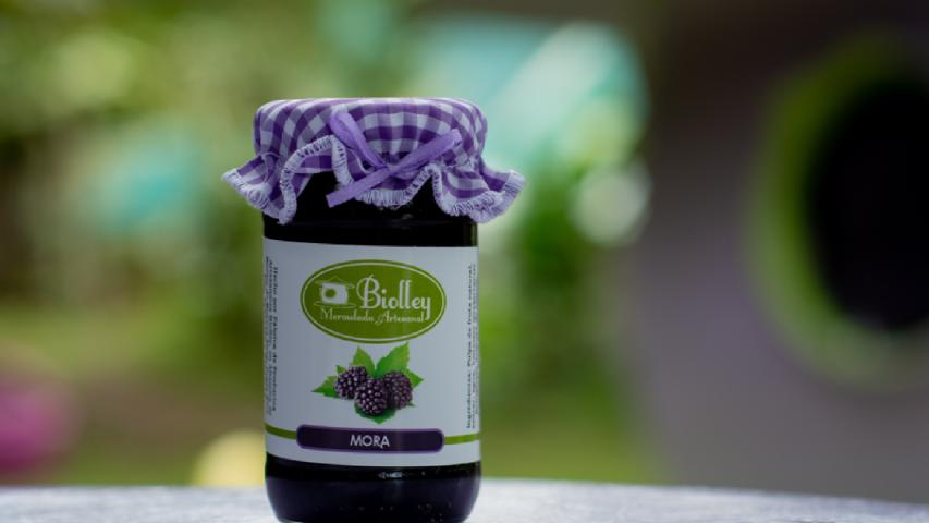 HELADERÍA ARTESANAL DE BIOLLEY