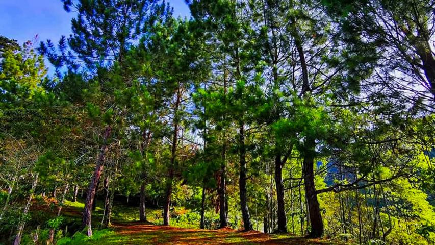 Gigantes Sendero