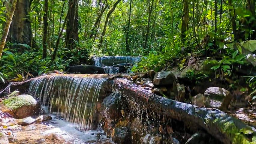 Gigantes Sendero