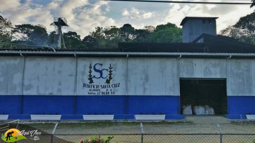 Beneficio Santa Cruz