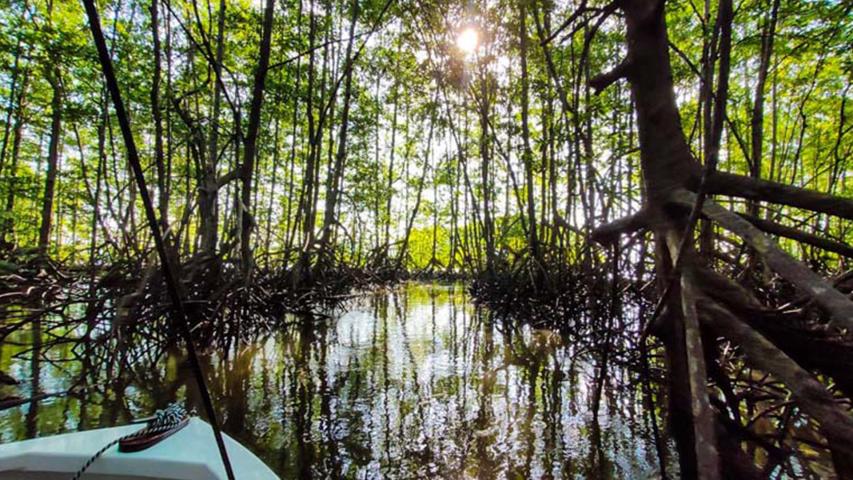 Pura Osa Expeditions