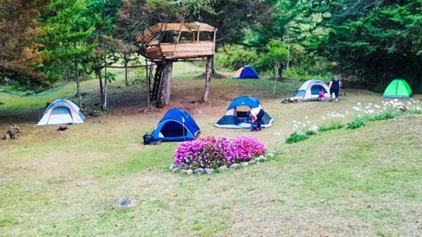 Finca Lagunillas