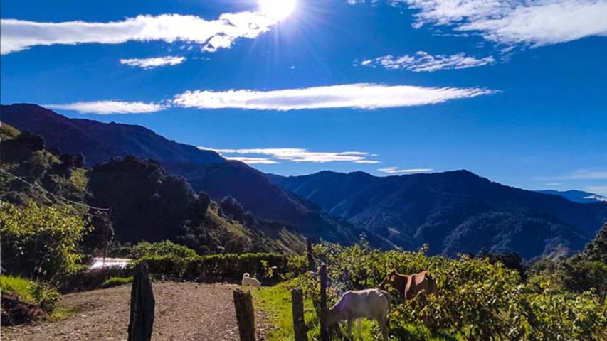 Finca Caminatas El Quetzal