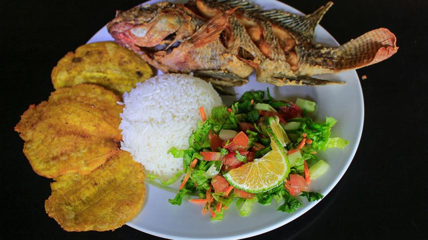 Rancho Rana Roja