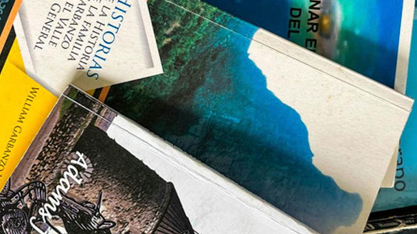 Asociación de Escritores y Editores de Pérez Zeledón